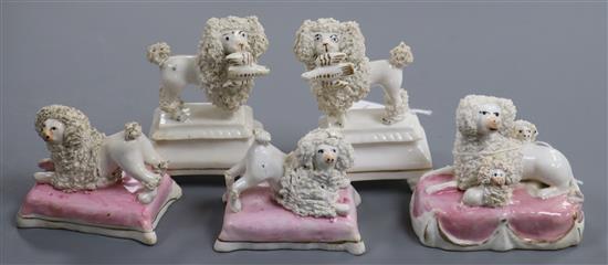 Five Staffordshire porcelain figures or groups of poodles, c.1835-50, H. 5.5cm - 9.3cm